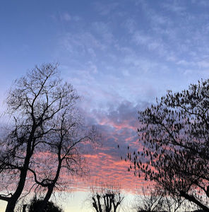 Meet your Posher, Callie